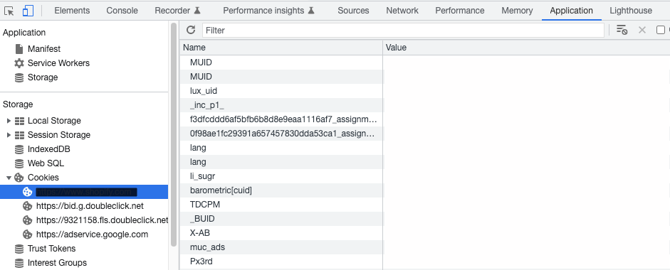 viewing cookies in the browser